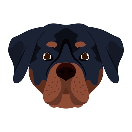 Dog Lovers Theme Rottweiler Dog Face Transparent Sticker